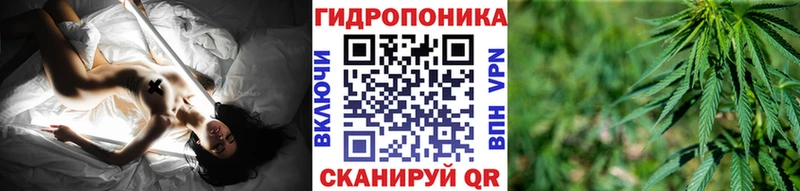 Канабис семена Купить где Улан-Удэ